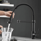 Bravik Single Hole Pre-Rinse Pull-Down Sprayer Spring Spout Kitchen Faucet