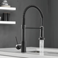 Bravik Single Hole Pre-Rinse Pull-Down Sprayer Spring Spout Kitchen Faucet
