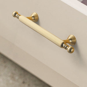 Two-Tone Zinc Alloy Kitchen Cabinet Pulls and Knobs
