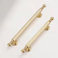 Two-Tone Zinc Alloy Kitchen Cabinet Pulls and Knobs