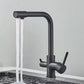 Aquiro 3-Way Kitchen Faucet with Filter Tap, RO Compatible