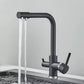 Aquiro 3-Way Kitchen Faucet with Filter Tap, RO Compatible