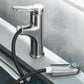 Single Handle Hot and Cold Bathroom Faucets with Pull Out Spray