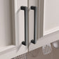 Two-Tone Slim Bar Cabinet Handles and Knobs for Wardrobes