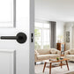 Zinc Alloy Passage Door Lever Handles for Closet and Hallway Doors