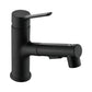 2 Modes Hot and Cold Pull-Out Bathroom Basin Faucets