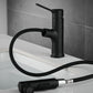 2 Modes Hot and Cold Pull-Out Bathroom Basin Faucets