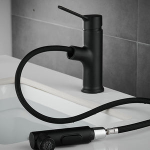 2 Modes Hot and Cold Pull-Out Bathroom Basin Faucets