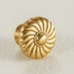 Brass Shell Cabinet Pulls and Round Knobs