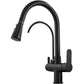 Clarivo Three-Way Kitchen Faucet with Filter Tap & Pull-Down Spout for Kitchen Sink