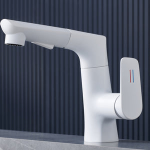 Pull Out Lifting Faucets for Bath Sink