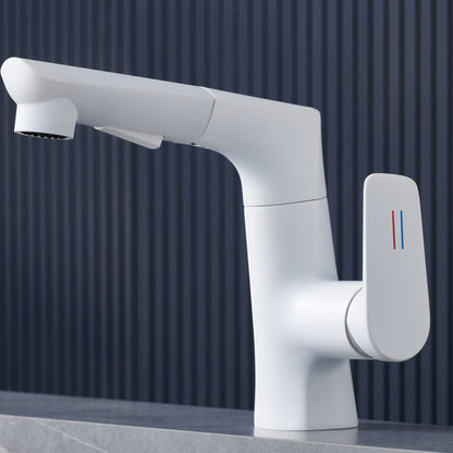 Bravik Modern Single-Hole Pull-Out Bathroom Sink Faucet with Swivel Spout