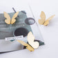 Butterfly Brass Cabinet Knobs for Drawers and Doors