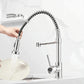 Bravik Single Hole Pre-Rinse Pull-Down Sprayer Spring Spout Kitchen Faucet