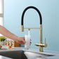 Puravo 3-Way Kitchen Faucet with Filter Tap and Pull-Down Spout