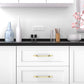 Angled Bar Cabinet Pulls, Aluminum Alloy Drawer Handles