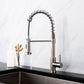 Bravik Single Hole Pre-Rinse Pull-Down Sprayer Spring Spout Kitchen Faucet