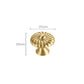 Brass Shell Cabinet Pulls and Round Knobs