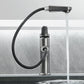 Single Handle Hot and Cold Bathroom Faucets with Pull Out Spray