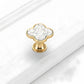 Colored Inset Cabinet Knobs for Wardrobes and Drawers