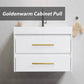 10 Pack Brushed Gold Stainless Steel Cabinet Pulls