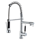Virello Professional Pull-Down Kitchen Faucet with High Arc Spring Spout