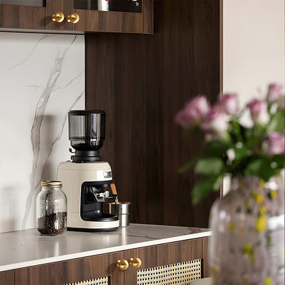 Retro shell cup pull and round knob, shown from one angle installed on cabinetry in context