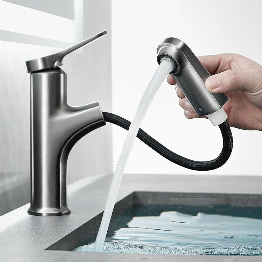 Wexler Single Handle Pull-Out Bathroom Sink Faucet with Hot and Cold Control