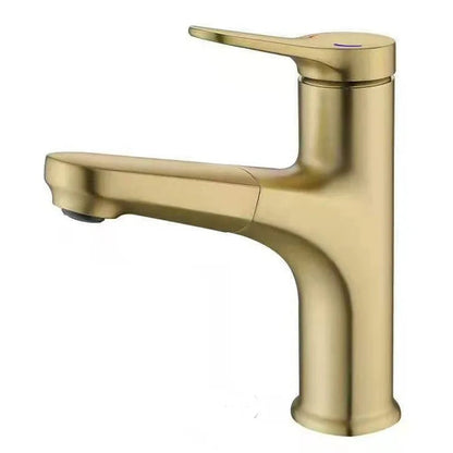 Wexler Single Handle Pull-Out Bathroom Sink Faucet with Hot and Cold Control