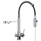 Purello 3-Way Pull-Down Kitchen Faucet with Filter Tap