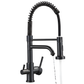 Aqualis 3-Way Pull-Down Kitchen Faucet with Filter Tap