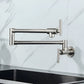 Stovra Wall Mounted Kitchen Faucet, Modern Foldable Cold Only Pot Filler