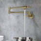 Stovra Wall Mounted Kitchen Faucet, Modern Foldable Cold Only Pot Filler