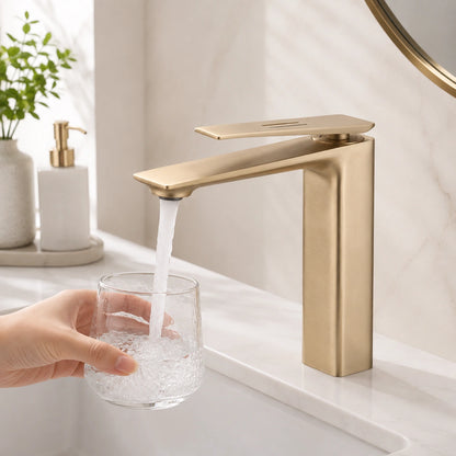 Lottin Modern Single-Handle Single-Hole Bathroom Sink Faucet