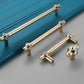 Faceted Crystal Glass Cabinet Pulls and Knobs in Gold
