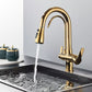 Clarivo Three-Way Kitchen Faucet with Filter Tap & Pull-Down Spout for Kitchen Sink