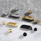 Retro Shell Solid Brass Cup Pulls and Cabinet Knobs