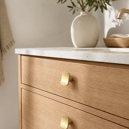 Rounded Rectangular Cabinet Knob in Brushed Brass