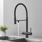 Puravo 3-Way Kitchen Faucet with Filter Tap and Pull-Down Spout