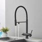 Puravo 3-Way Kitchen Faucet with Filter Tap and Pull-Down Spout