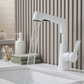 Rotiva 360° Pull-Out Stainless Steel Sink Faucet