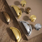 Vintage Shell Solid Brass Bin Cup Pulls for Drawers