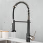 Bravik Single Hole Pre-Rinse Pull-Down Sprayer Spring Spout Kitchen Faucet