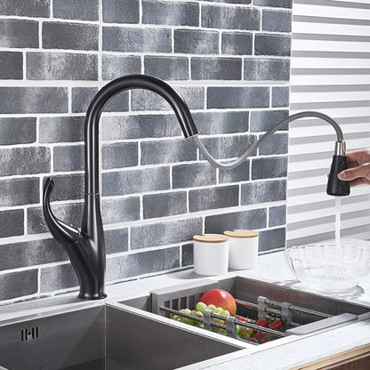 Elara Victorian Style Pull-Out Kitchen Faucet