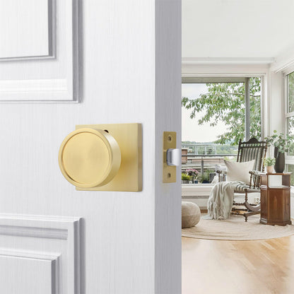 Heavy Duty Interior Door Knobs with Privacy and Passage Options