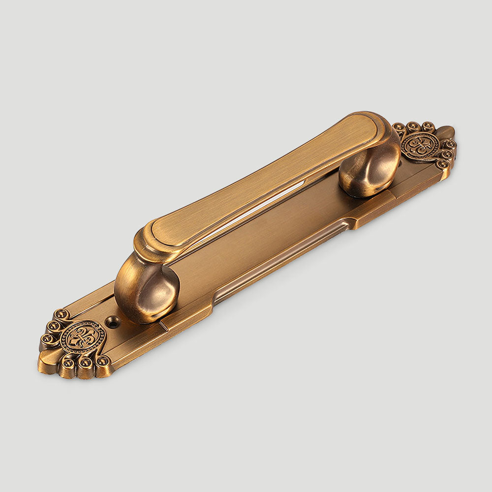 Antique Bronze Cabinet Pulls with Decorative Backplate